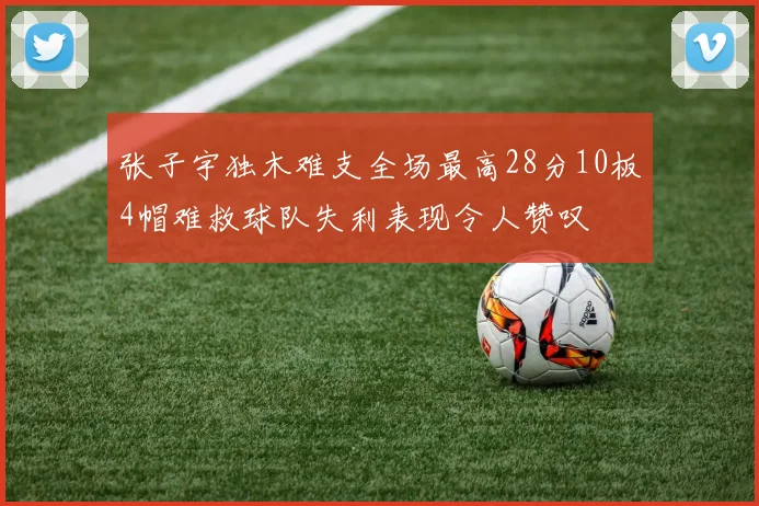 张子宇独木难支全场最高28分10板4帽难救球队失利表现令人赞叹